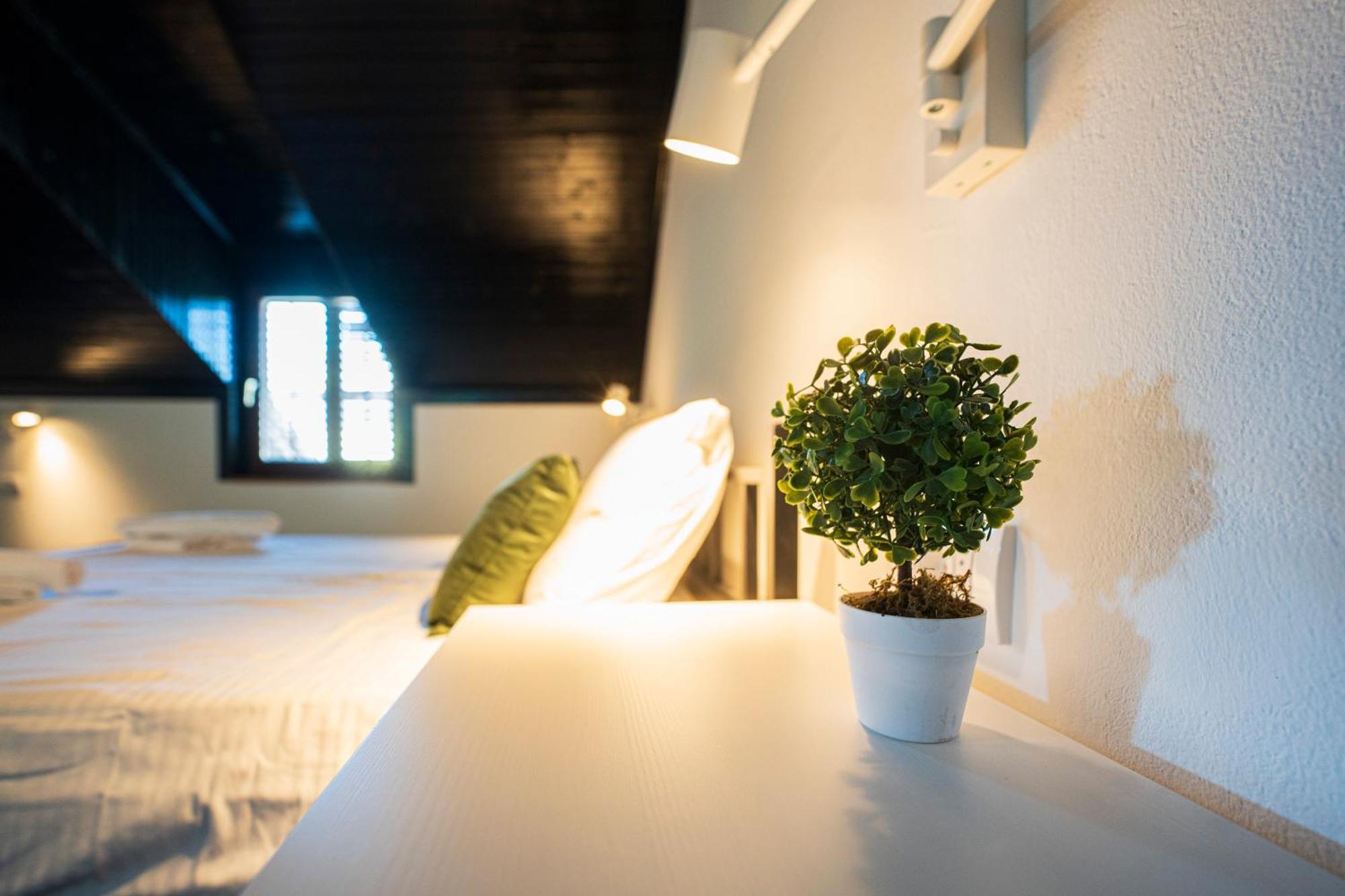 Cozy Nook B&B - Free Private Parking Novi Sad Exterior foto